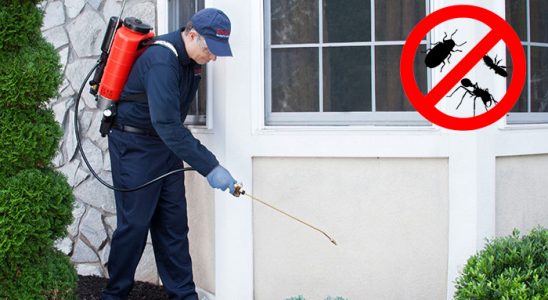 Köprüköy Fare İlaçlama böcek ilaçlama ve haşere kontrolü — ilaclama-tr.com